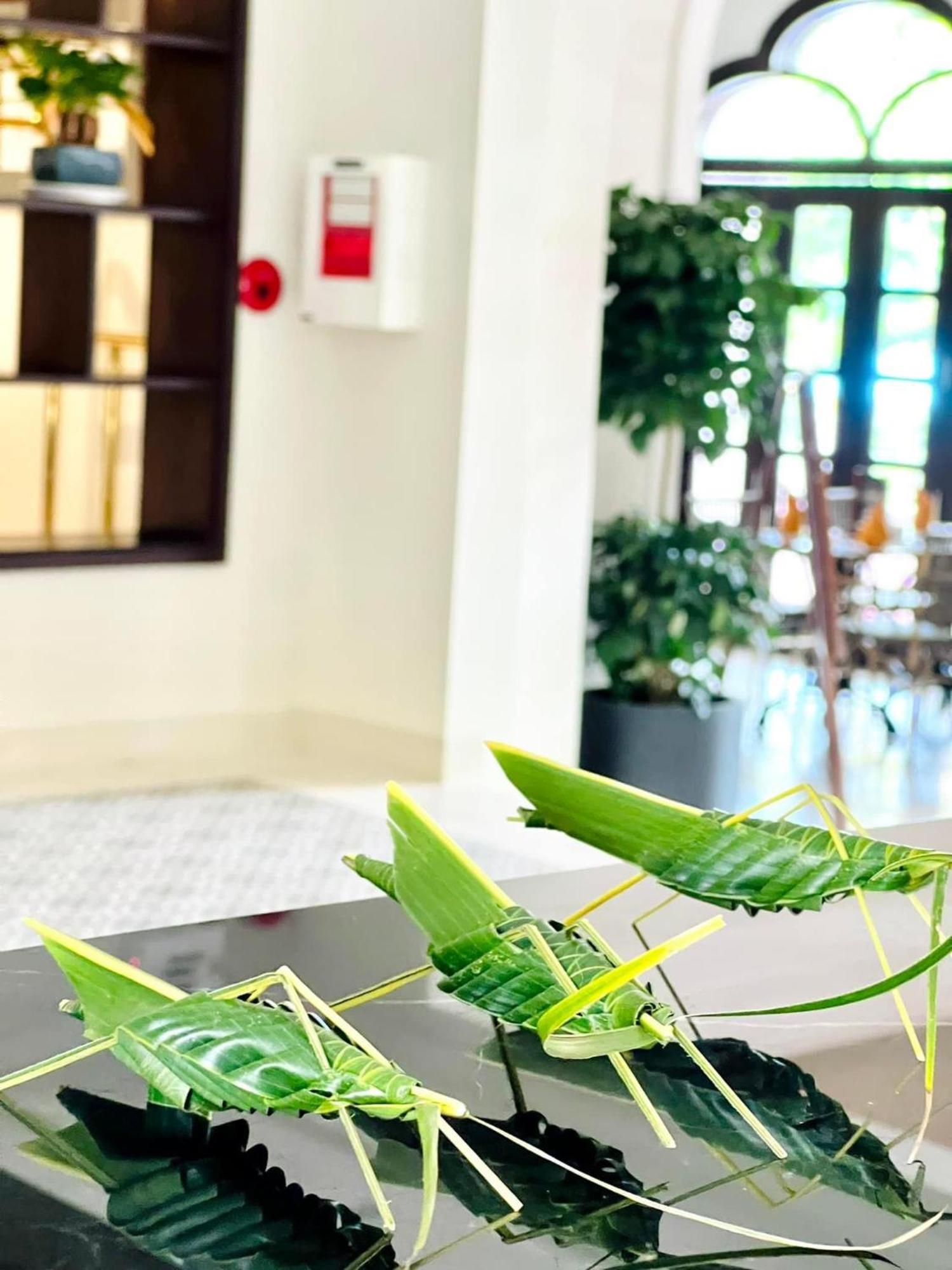 Little - A Boutique & Hotel Hoi An