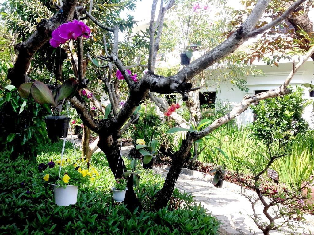 Resort Muca Boutique & Hoi An