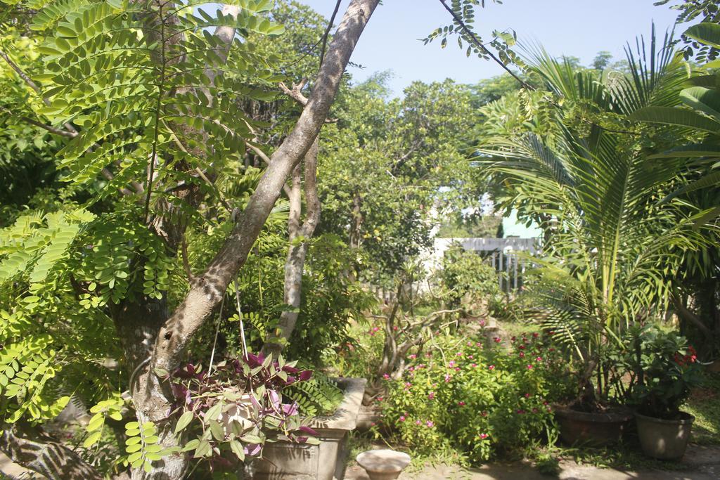 Homestay Trust Hoi An