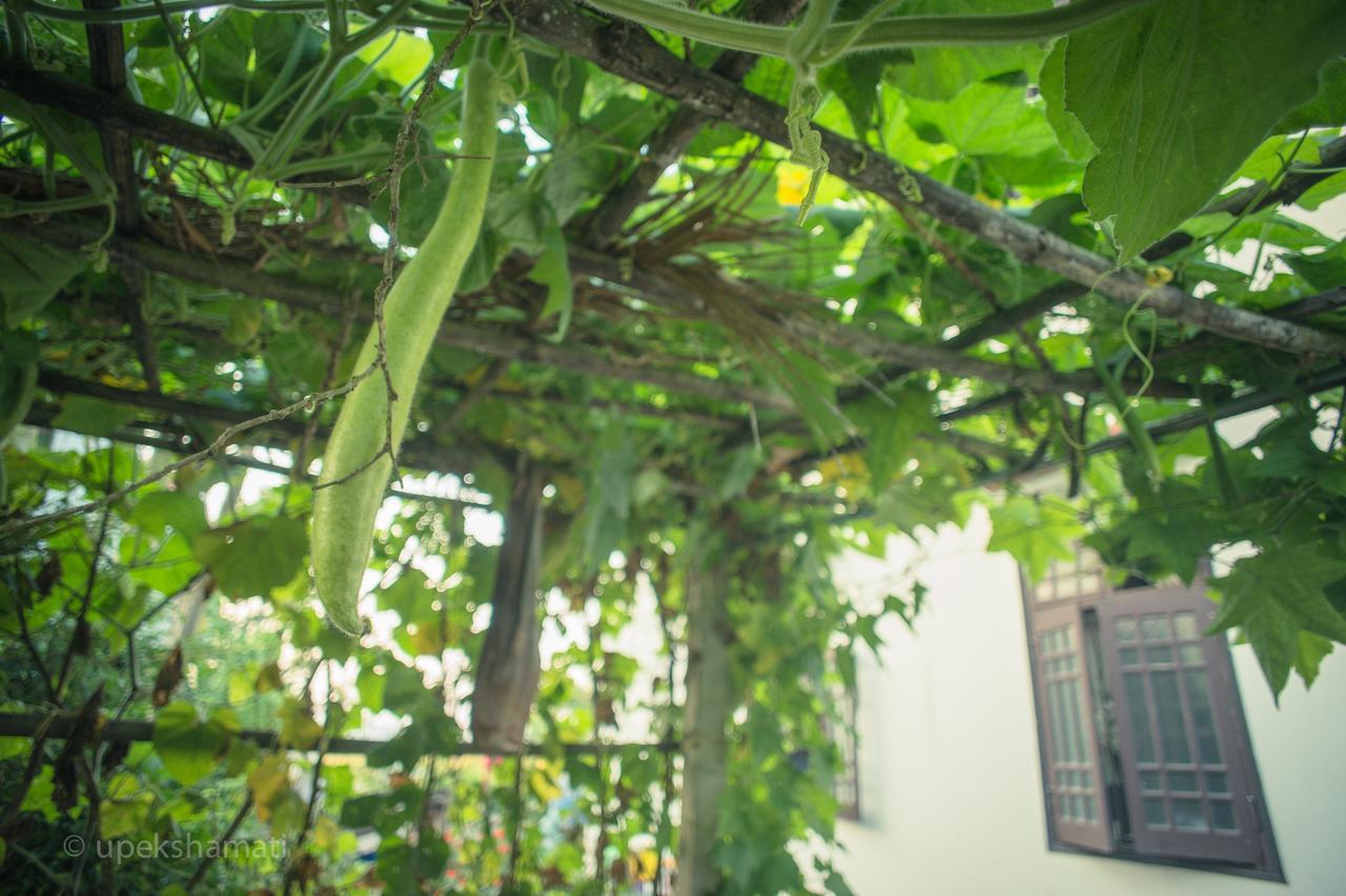 Bed & Breakfast Flower Village 2*