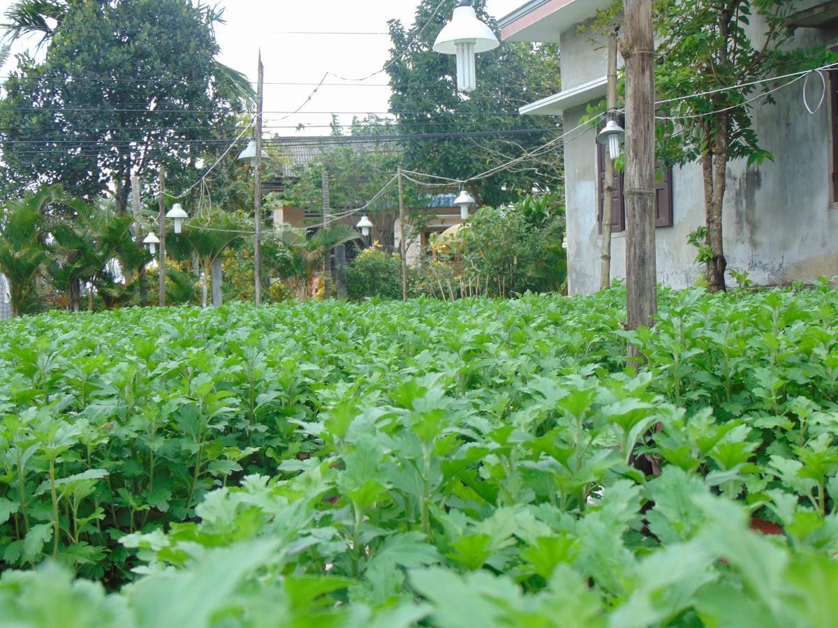 Flower Village