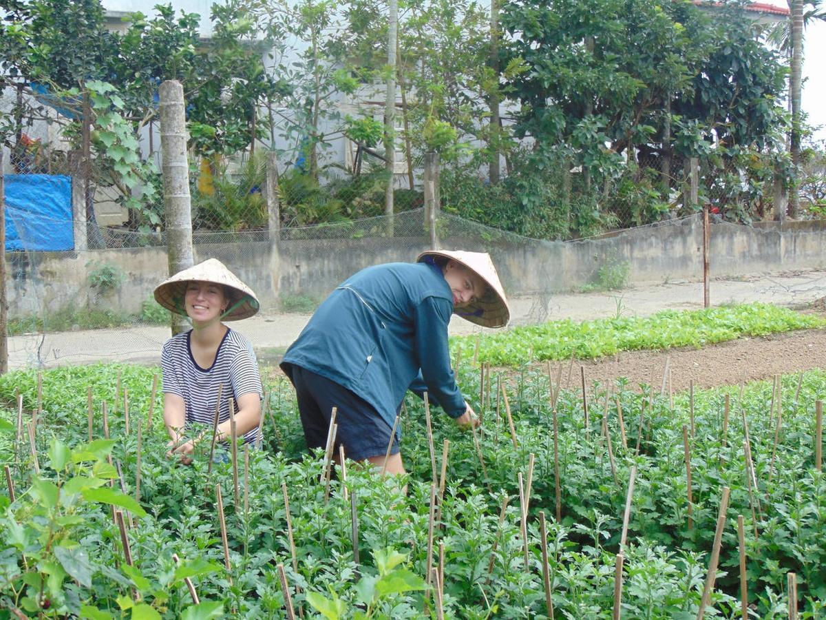 Flower Village 2*