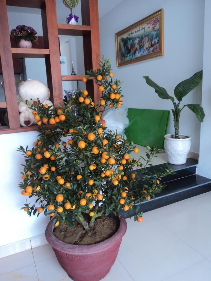 White Lion House Homestay