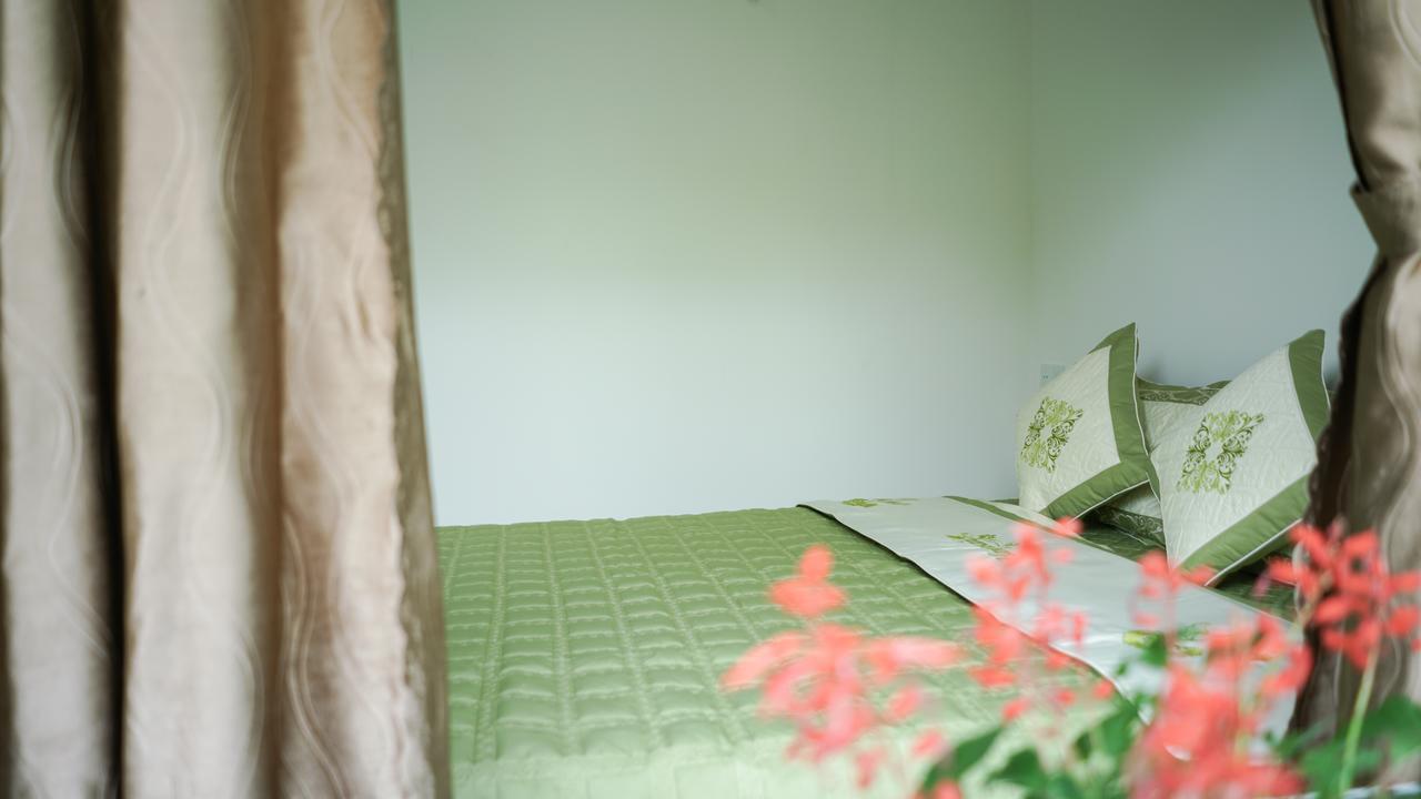 Duck House Guest house 3*