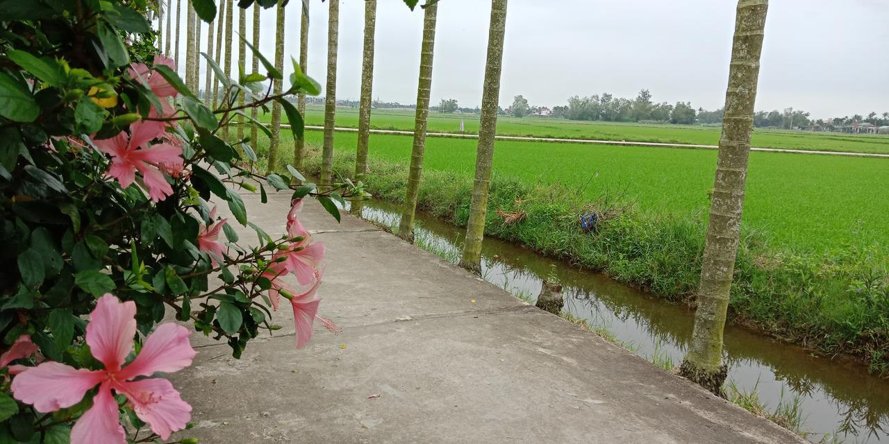 Flower Village 2*