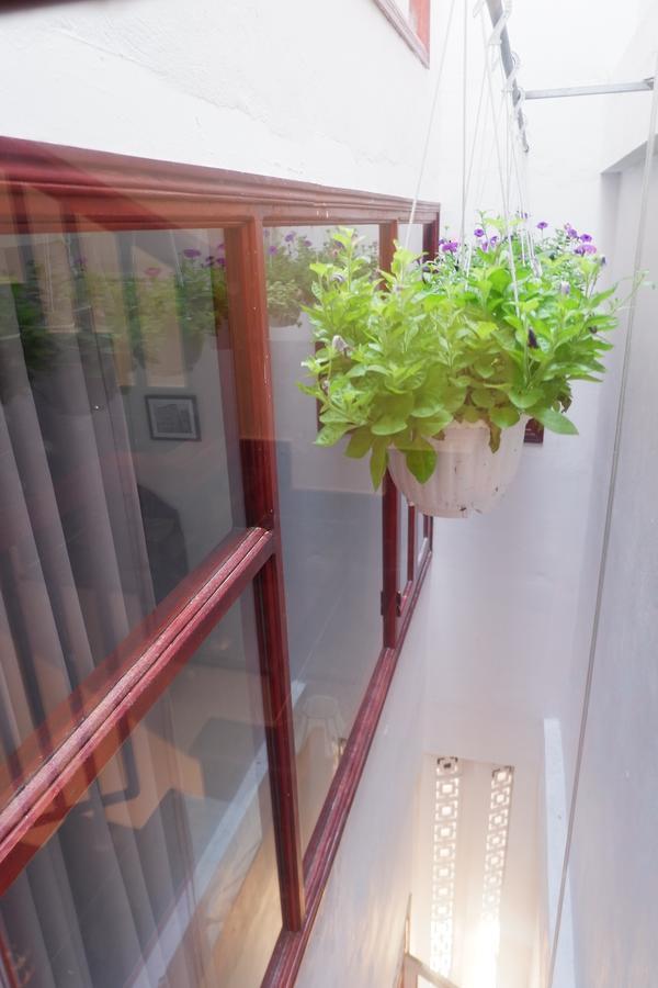 Homestay White Lion House