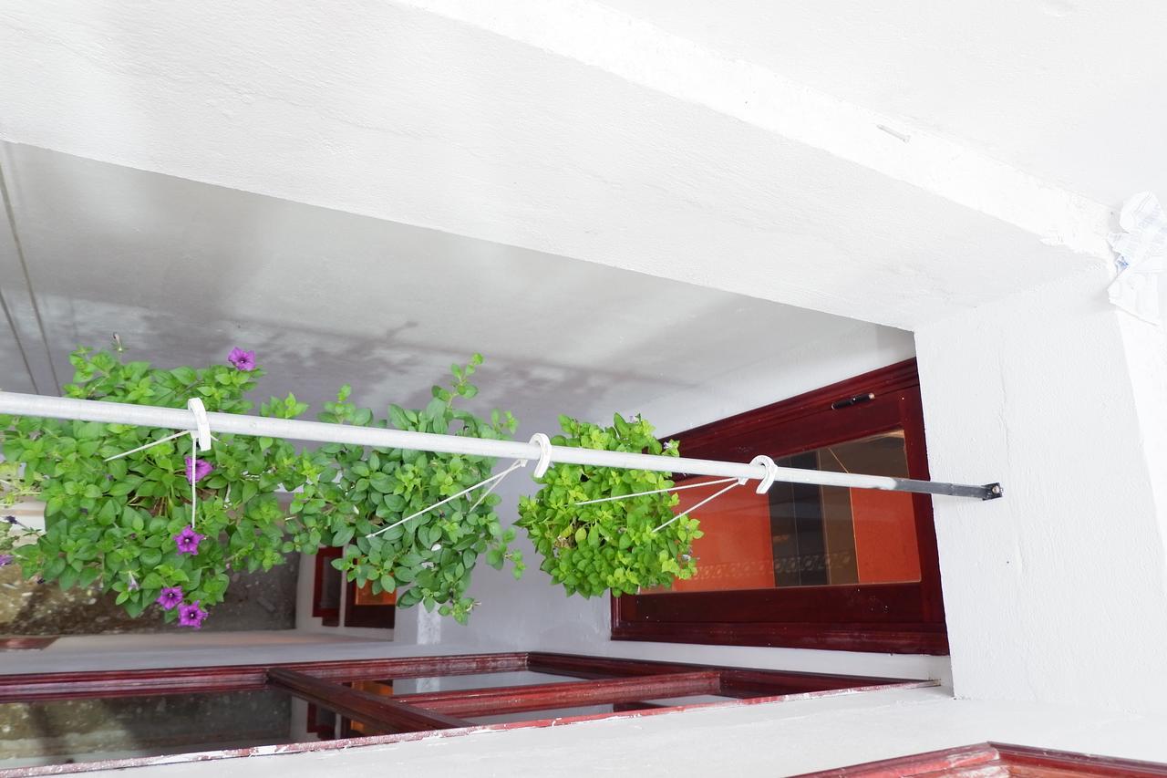 White Lion House * Hoi An