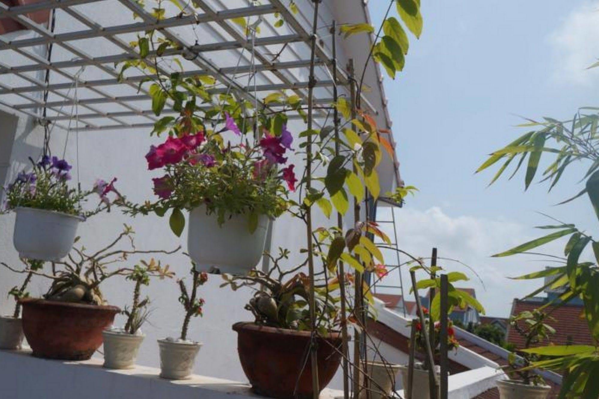 Red House - 2* Hoi An