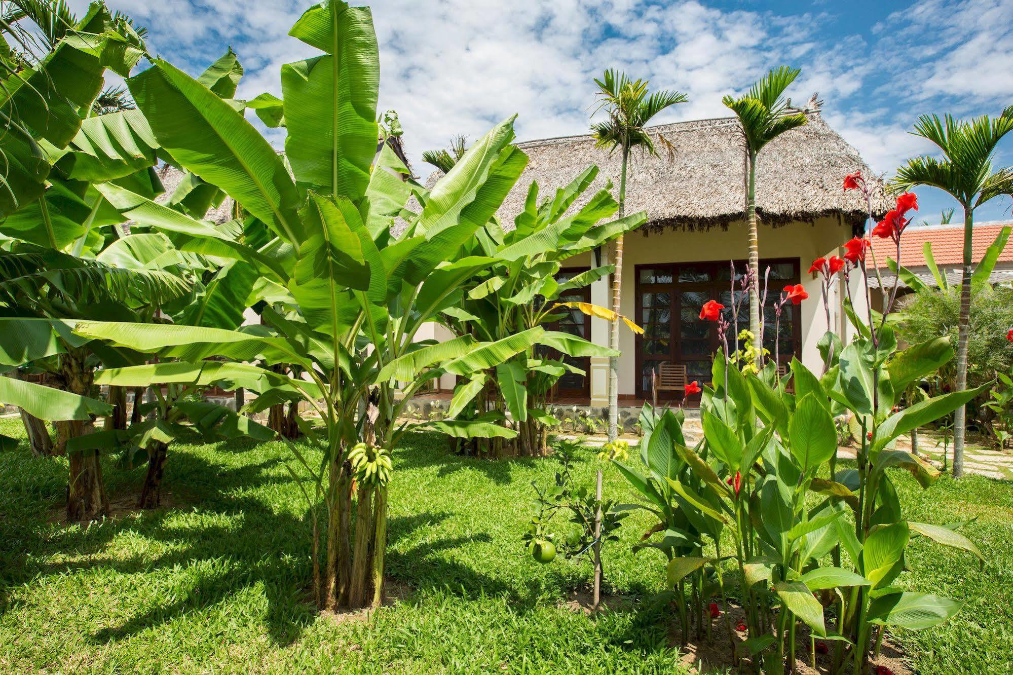 Water Coconut Boutique Villa Hoi An