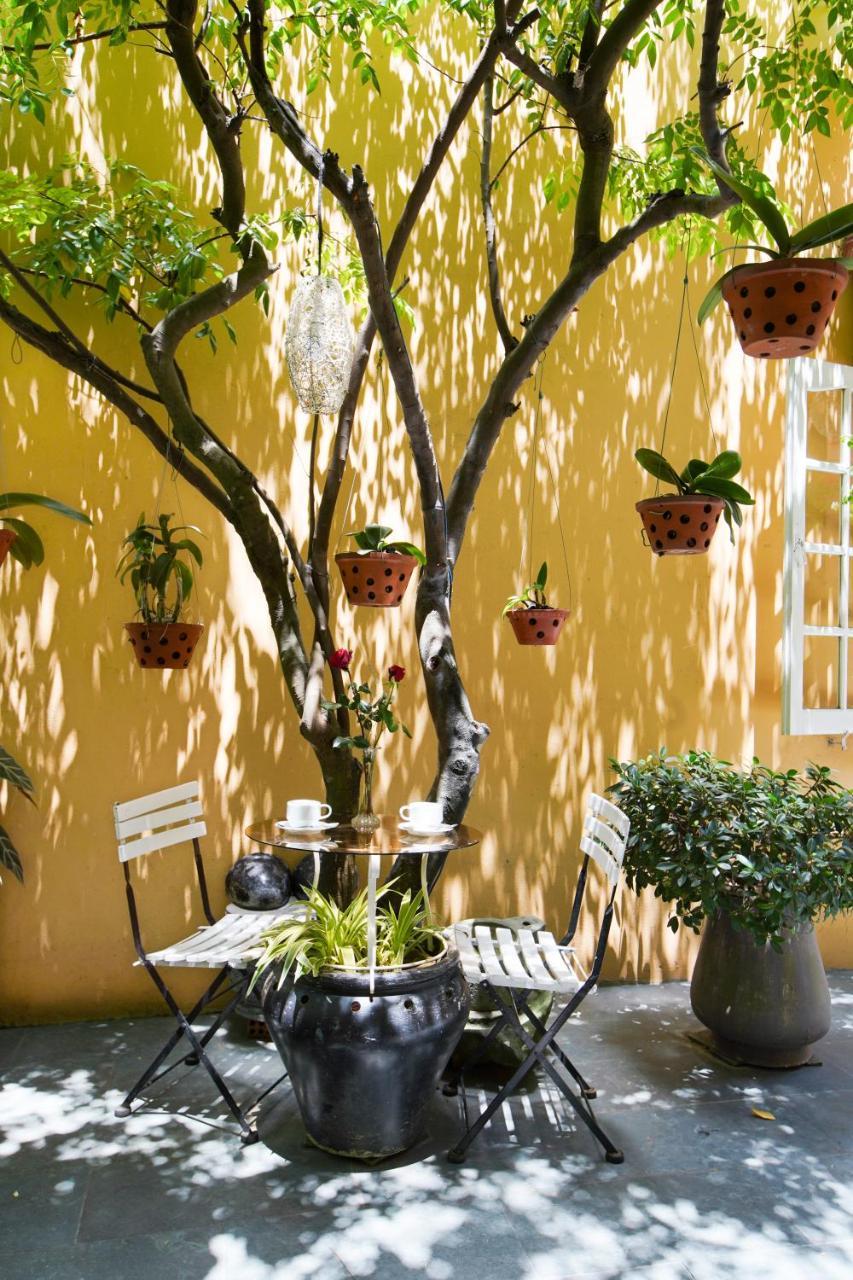 Homestay Garden