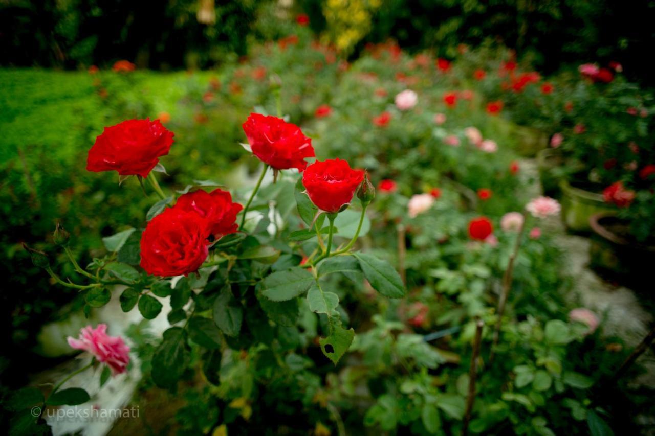 Bed & Breakfast Flower Village 2*