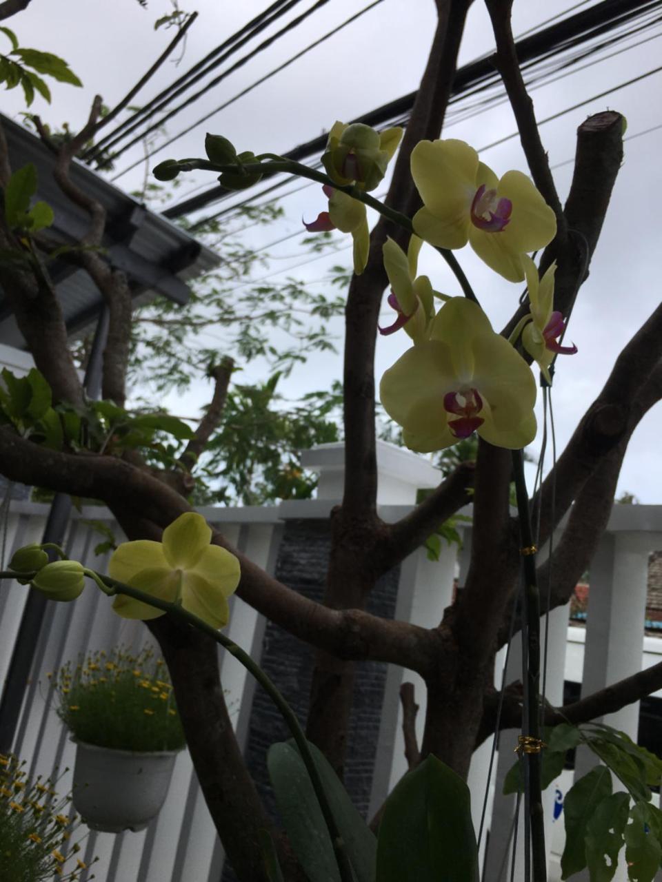 Homestay An Bang Scent *