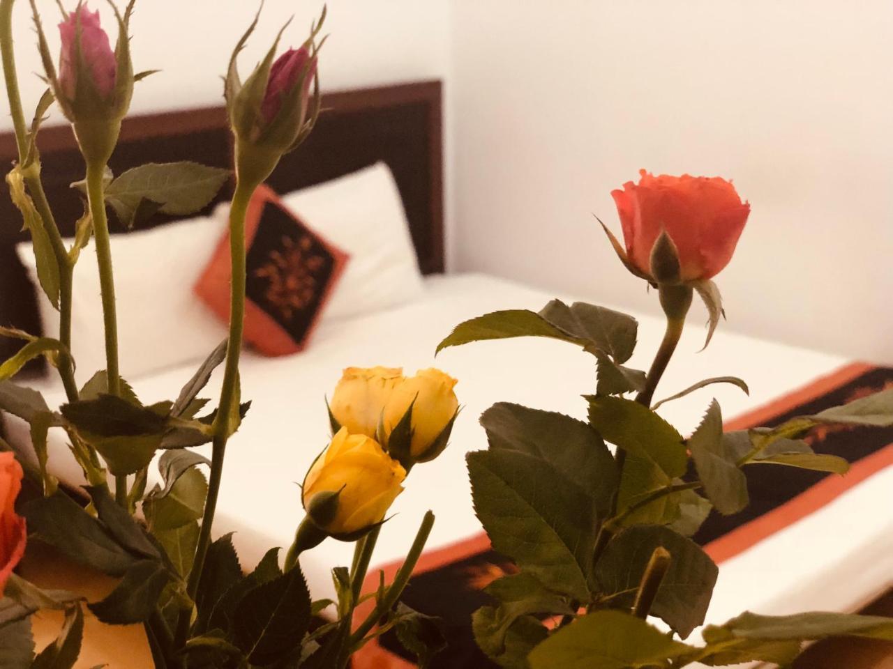 Tammy Bed & Breakfast 2*