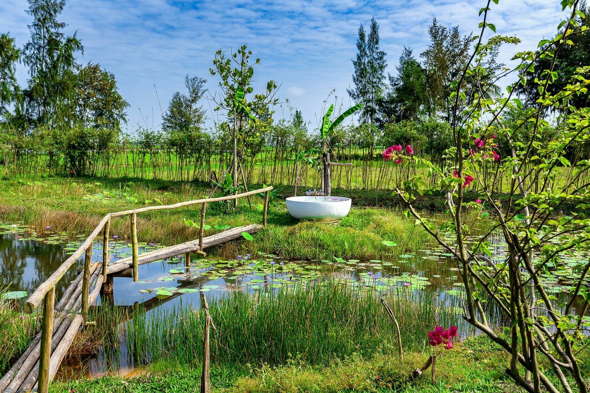 Khách sạn Allamanda Estate