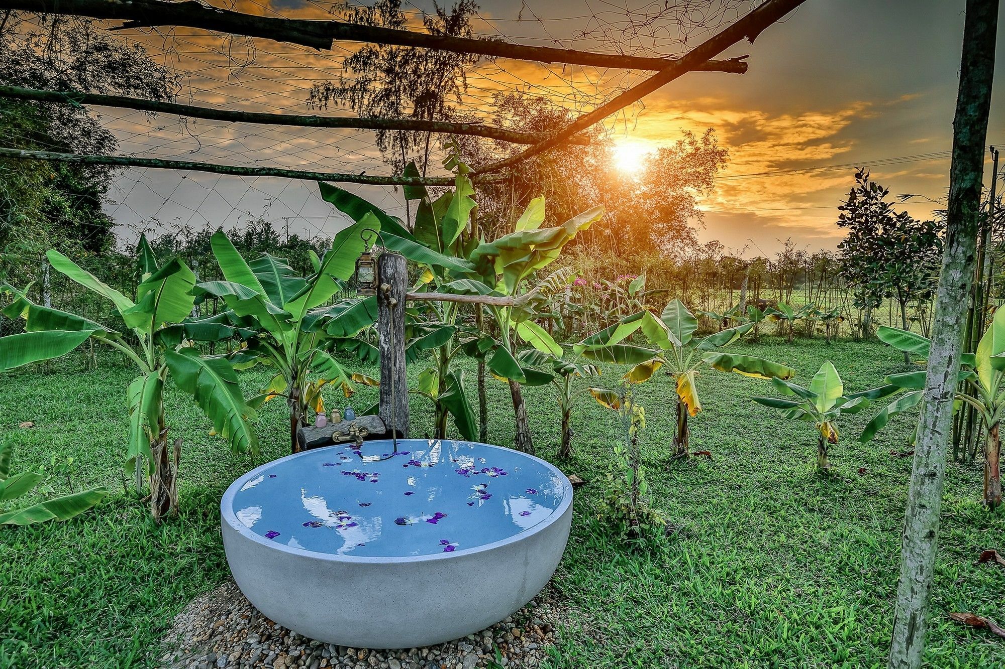 Khách sạn Allamanda Estate