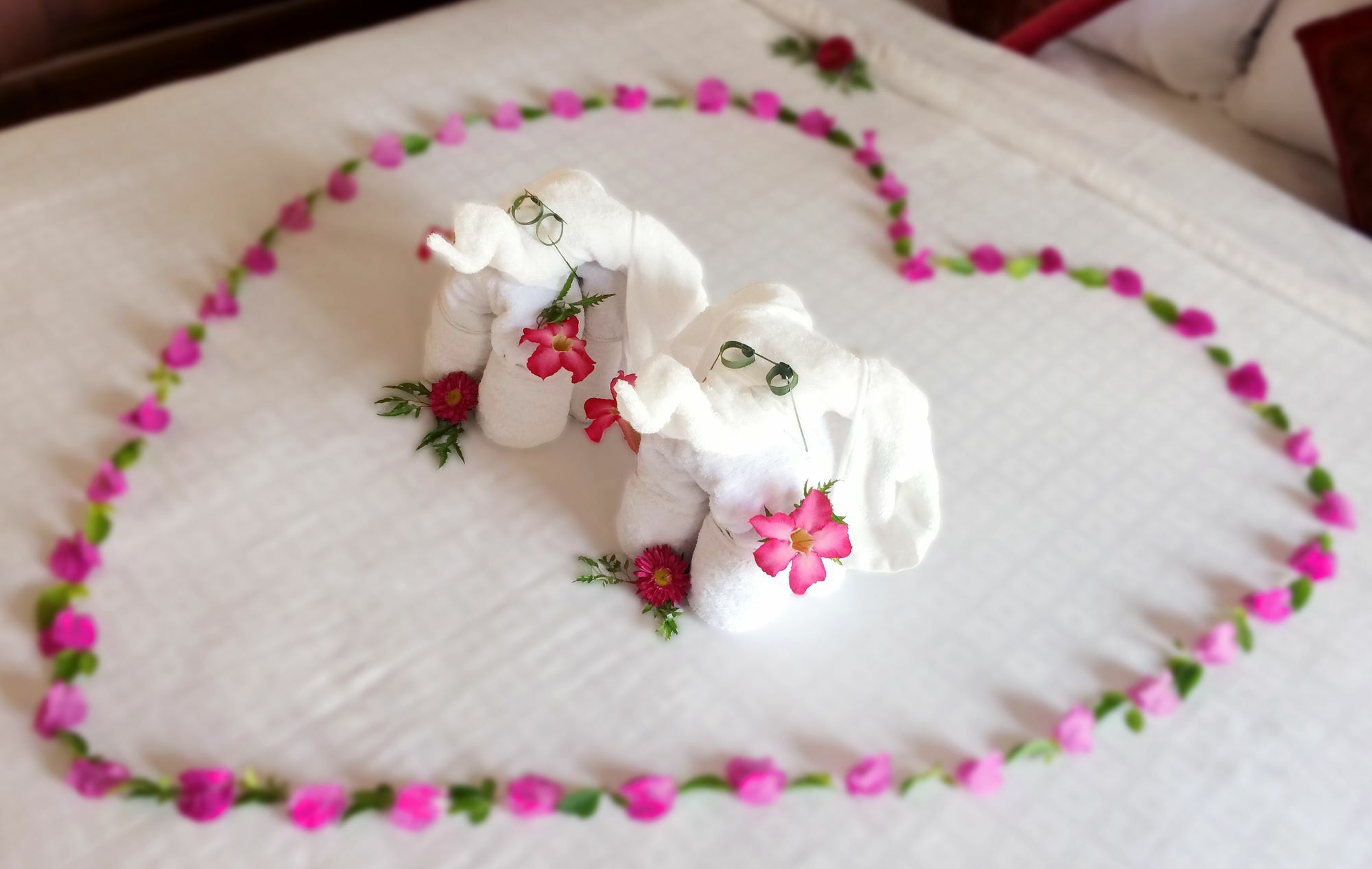 Khu nghỉ mát Memority & Spa Hội An
