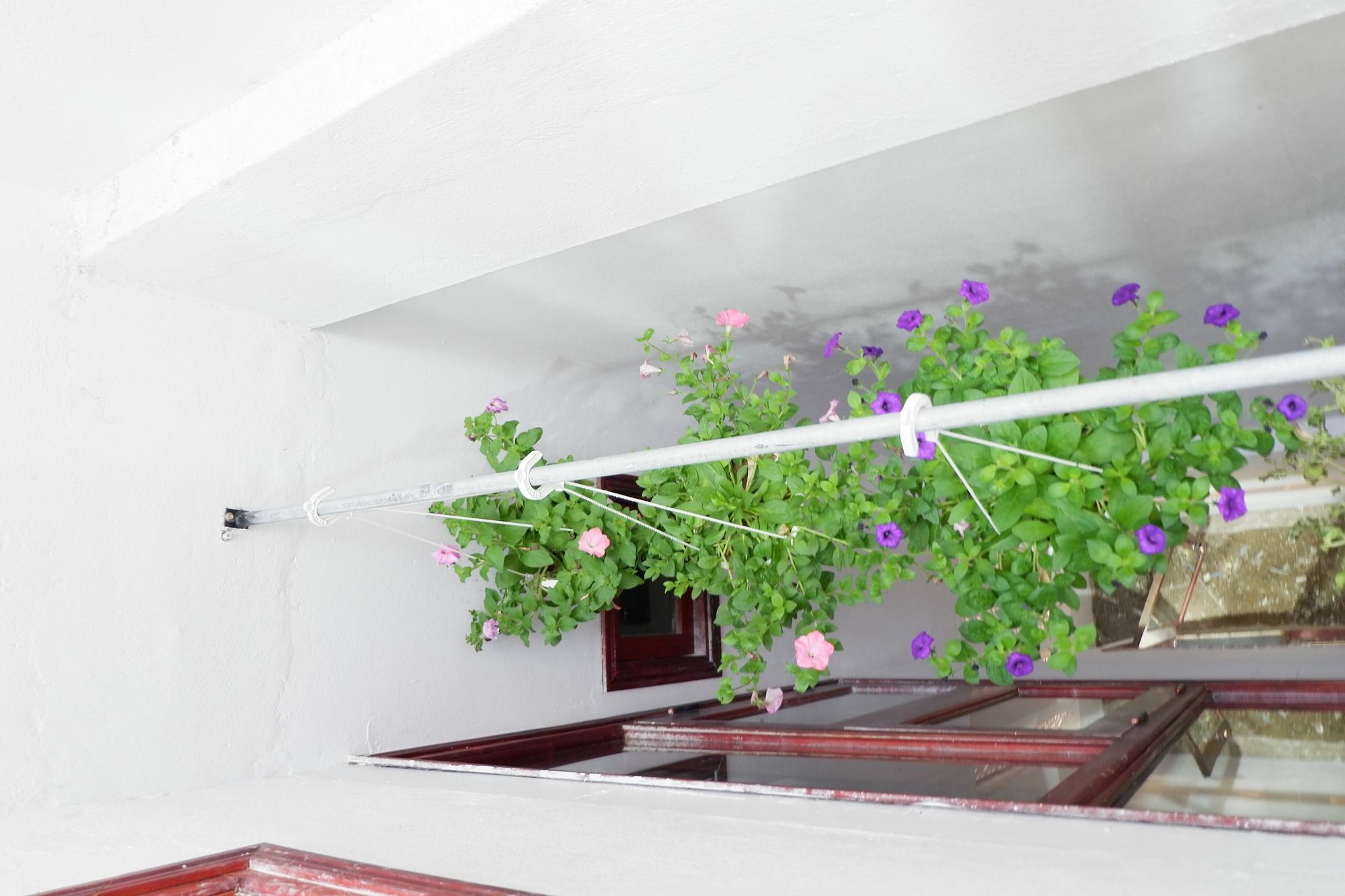 White Lion House Homestay Hoi An