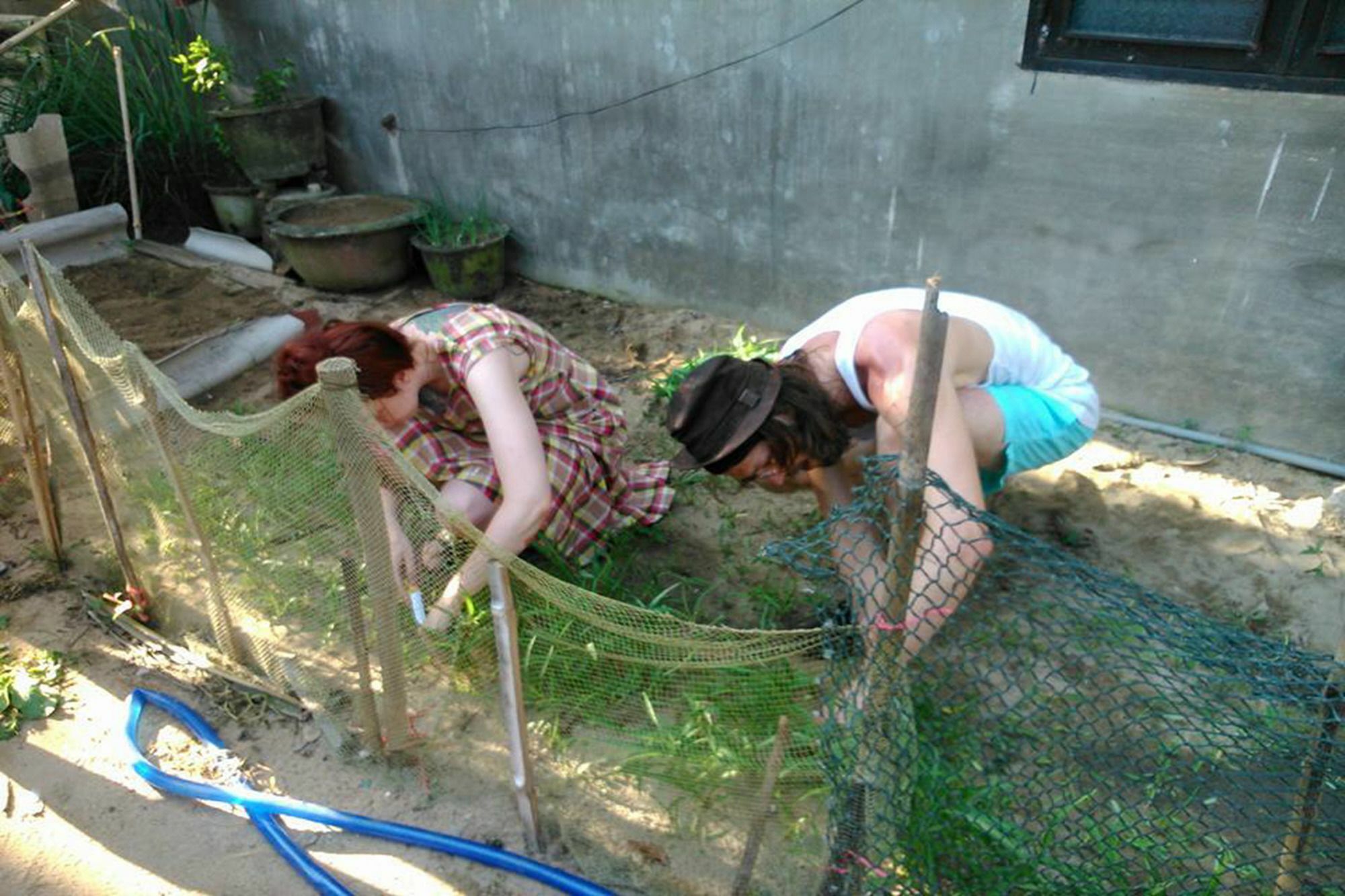 The Grass Vy Hospedagem domiciliar Hoi An