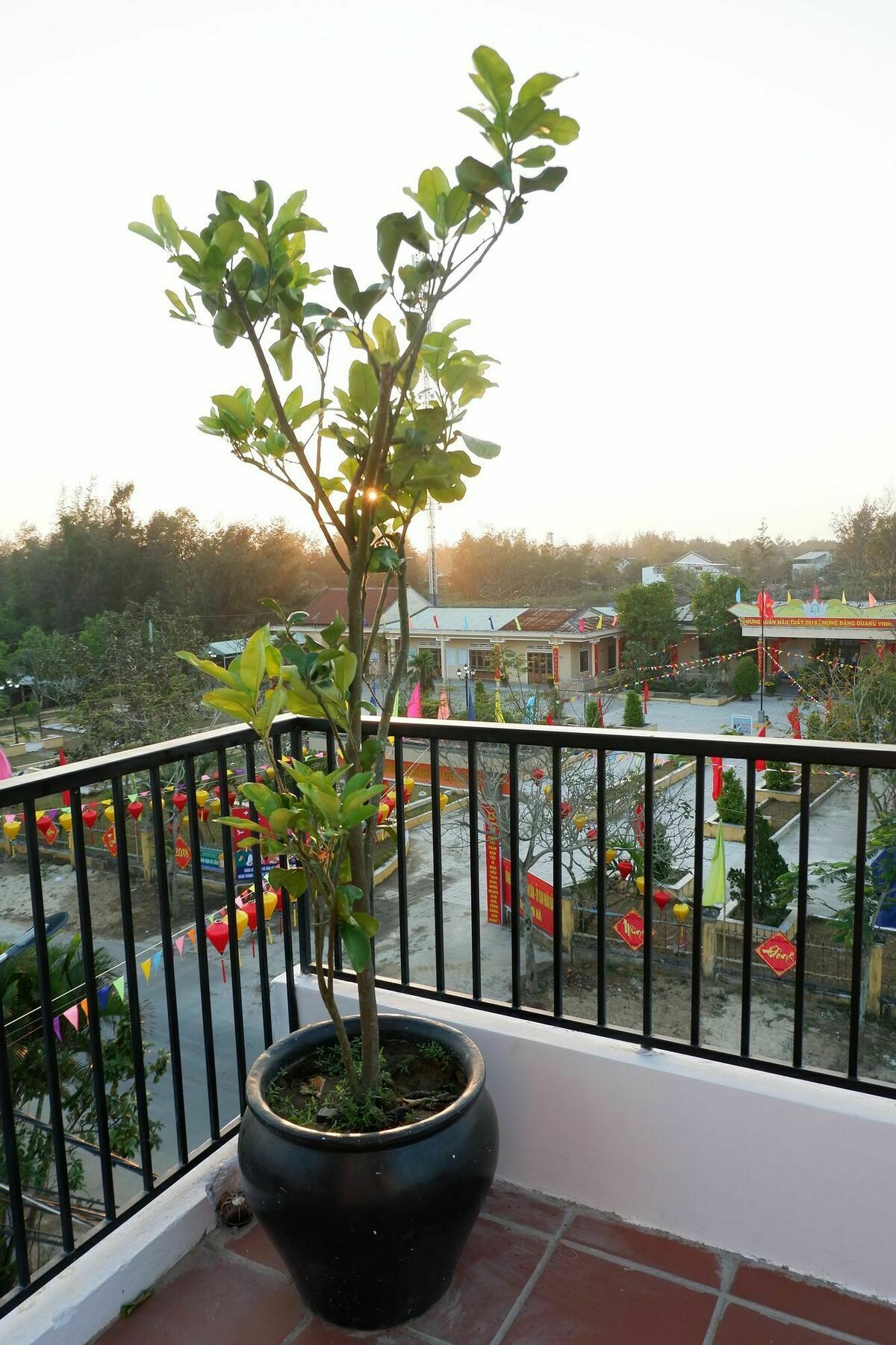 White Lion House Homestay