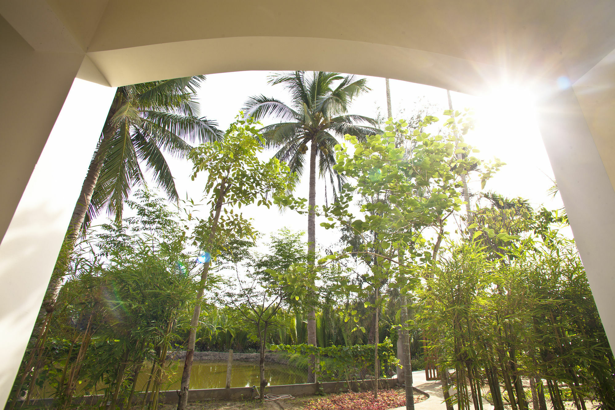 Hotel Palm View 3*
