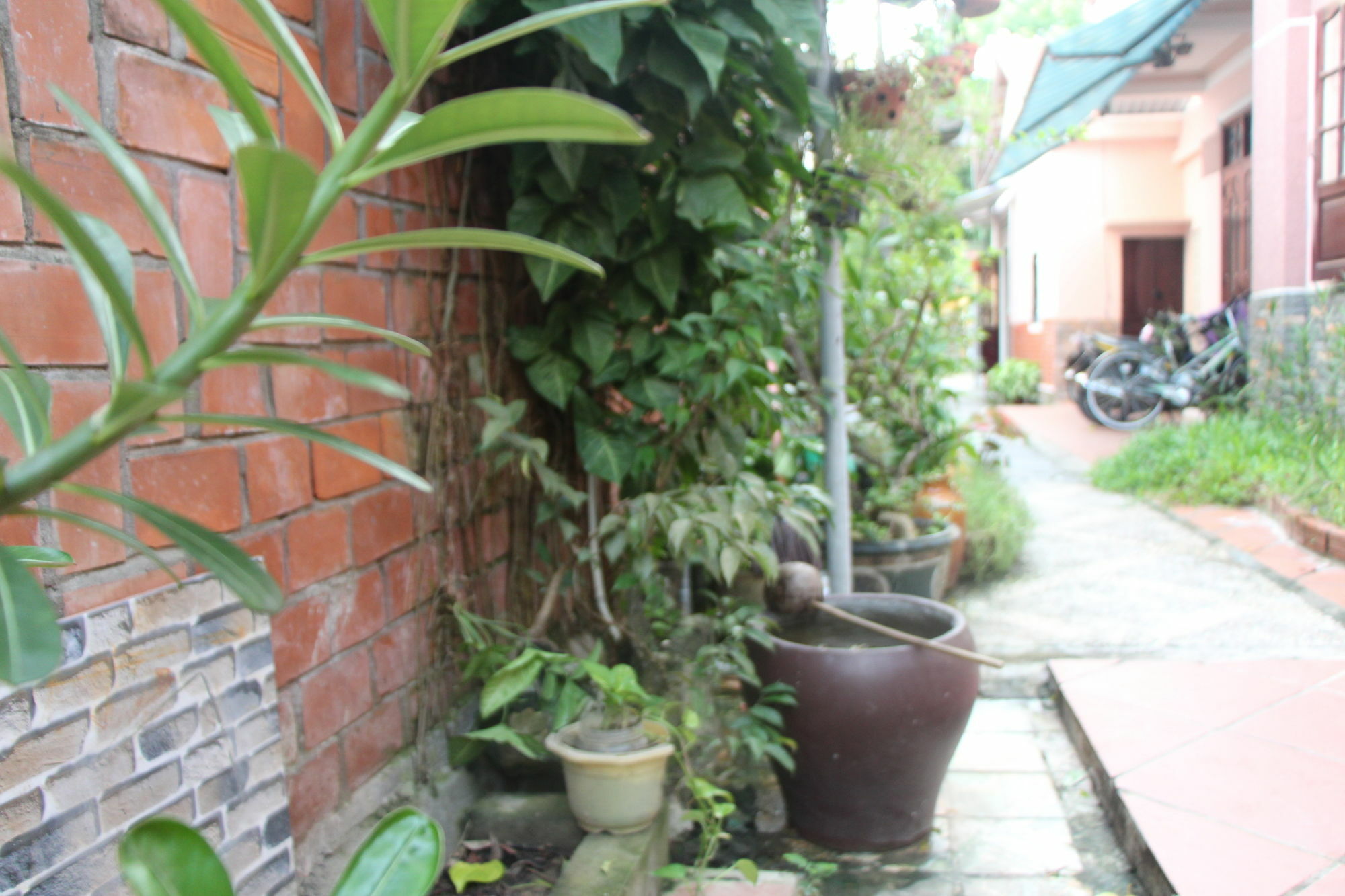 Red Ceramics Homestay *