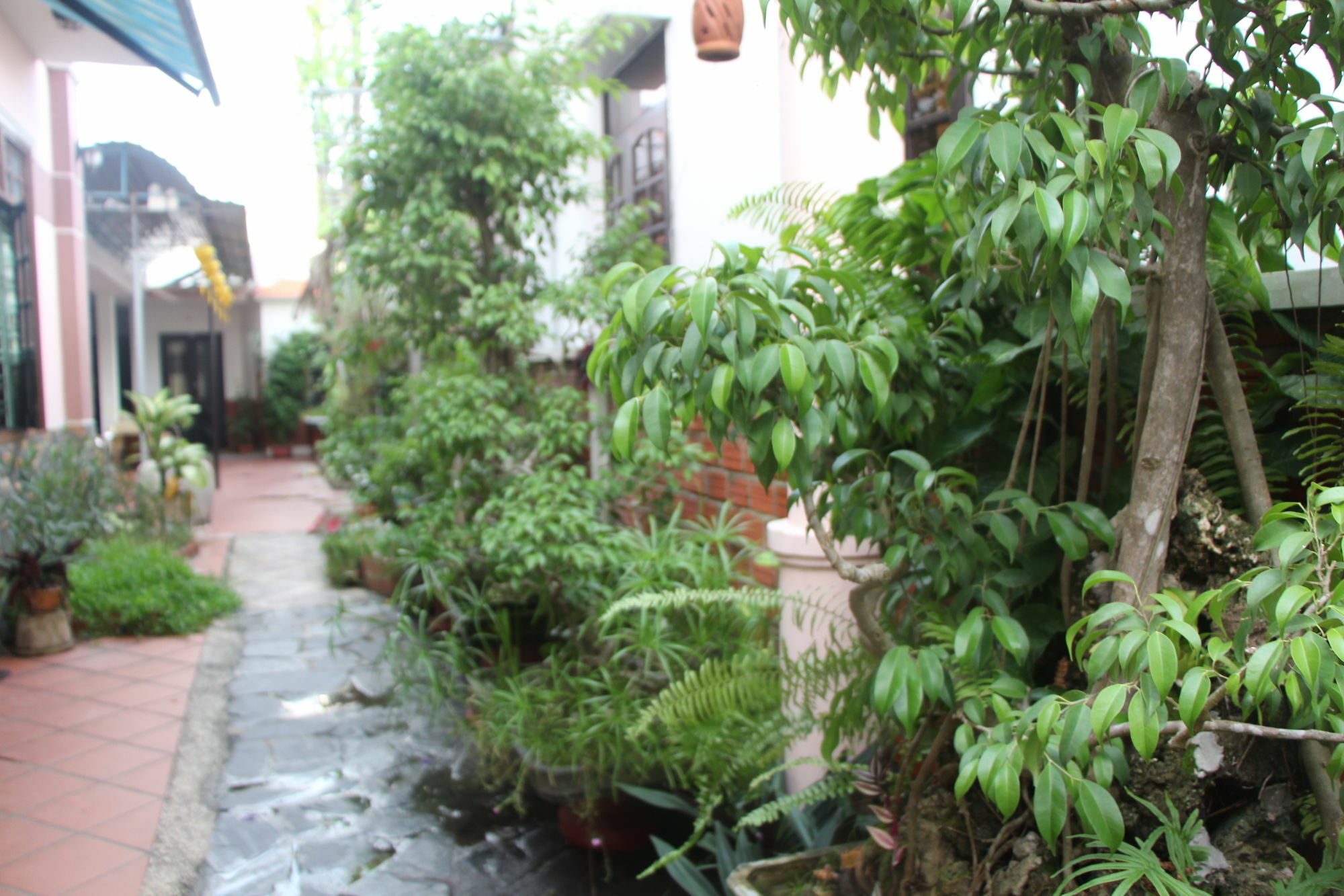 Homestay Red Ceramics *