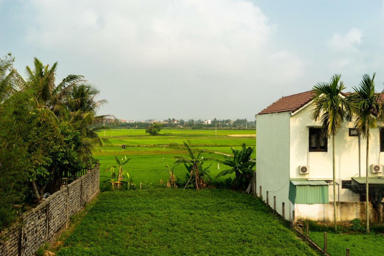 Rice Field Hoi An