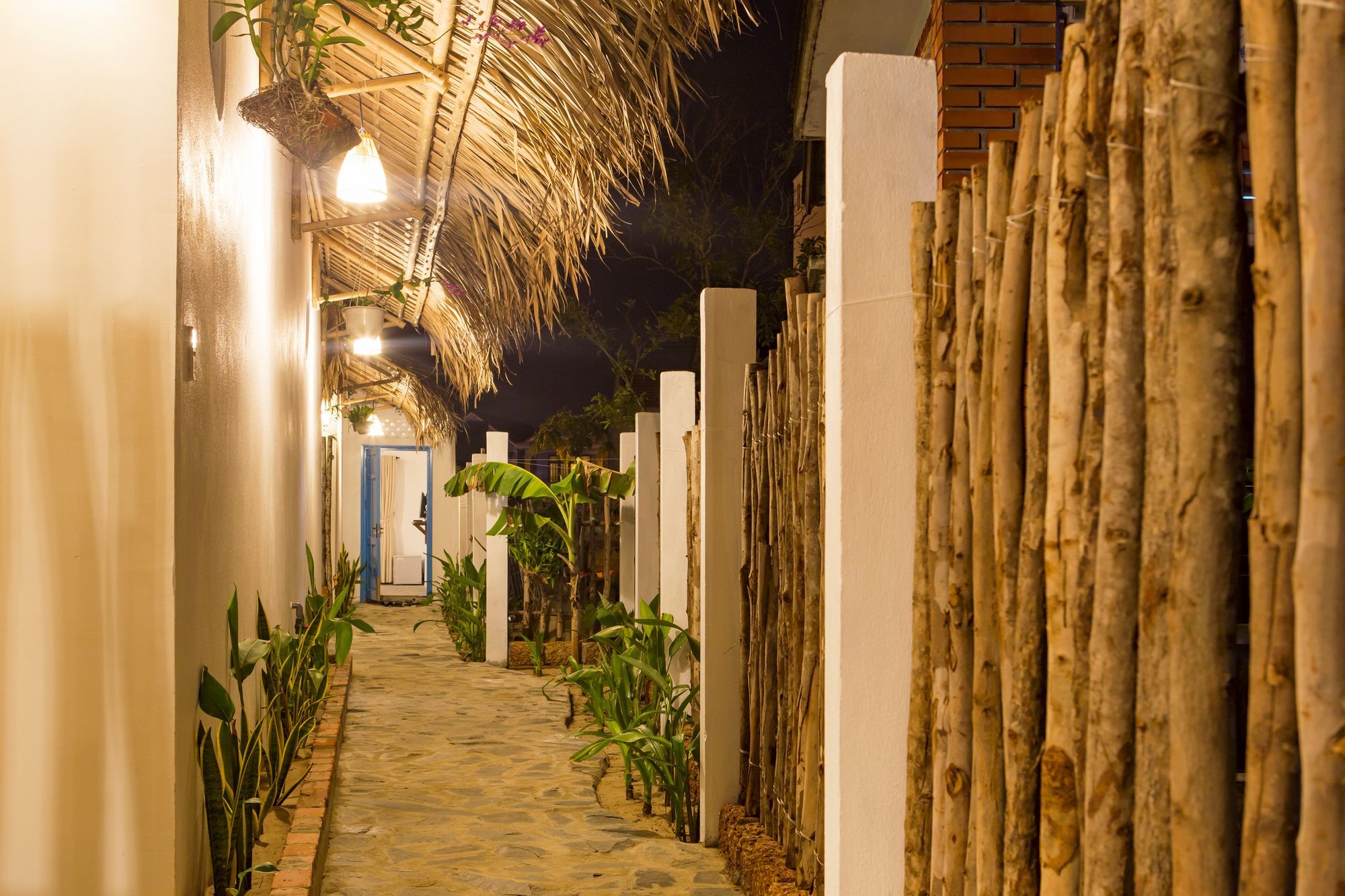 Bed & Breakfast Cashew Tree 3*