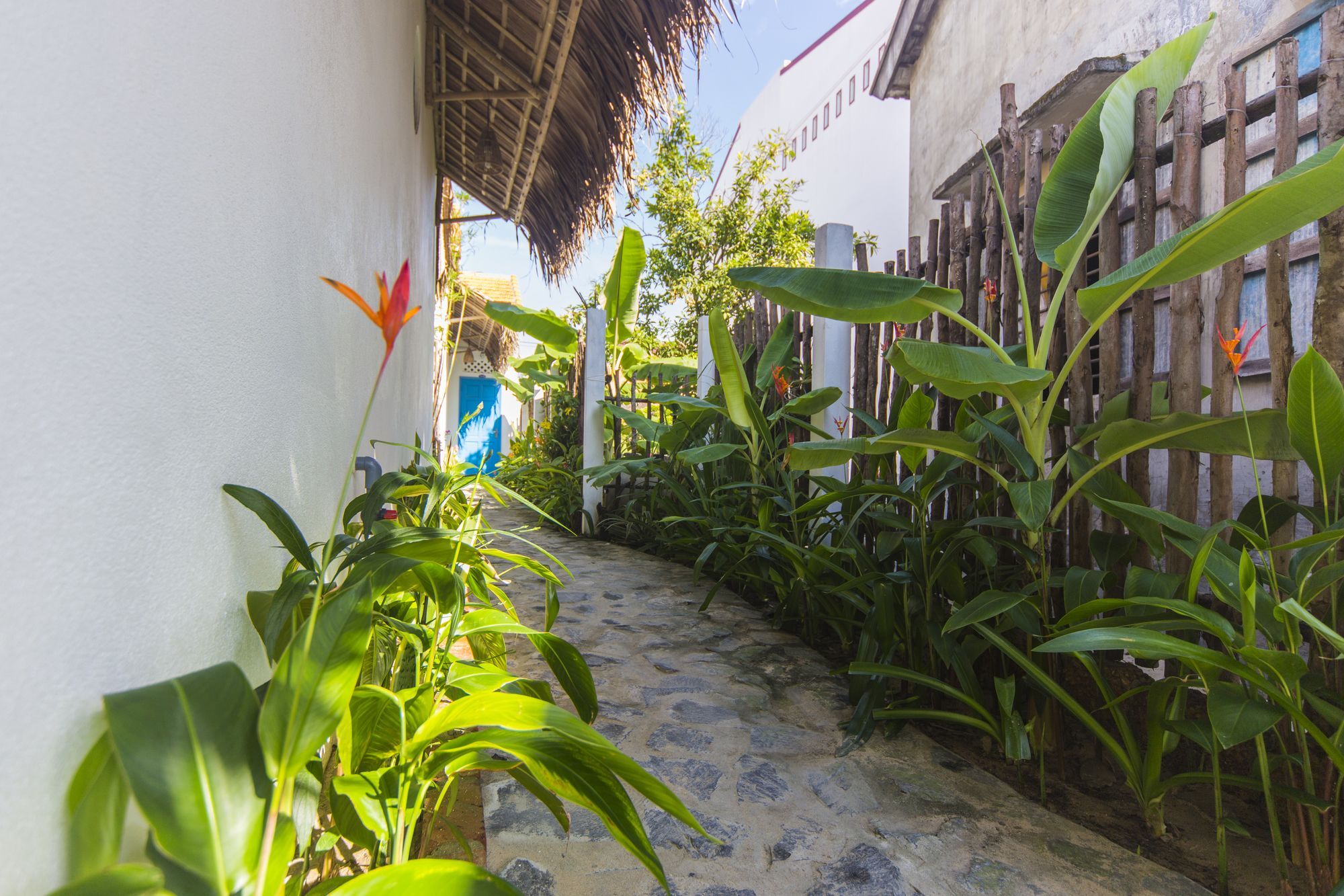 Bed & Breakfast Cashew Tree Hoi An