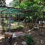 Nguyen Duy Homestay