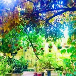 Pebble Homestay