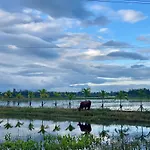 Rice River Villa - Hoi An