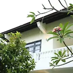 Hoi An Red Frangipani Villa