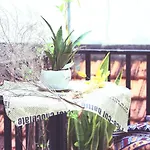 Longan Homestay