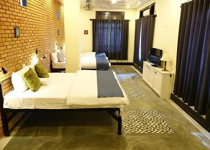 Paddys Hostel