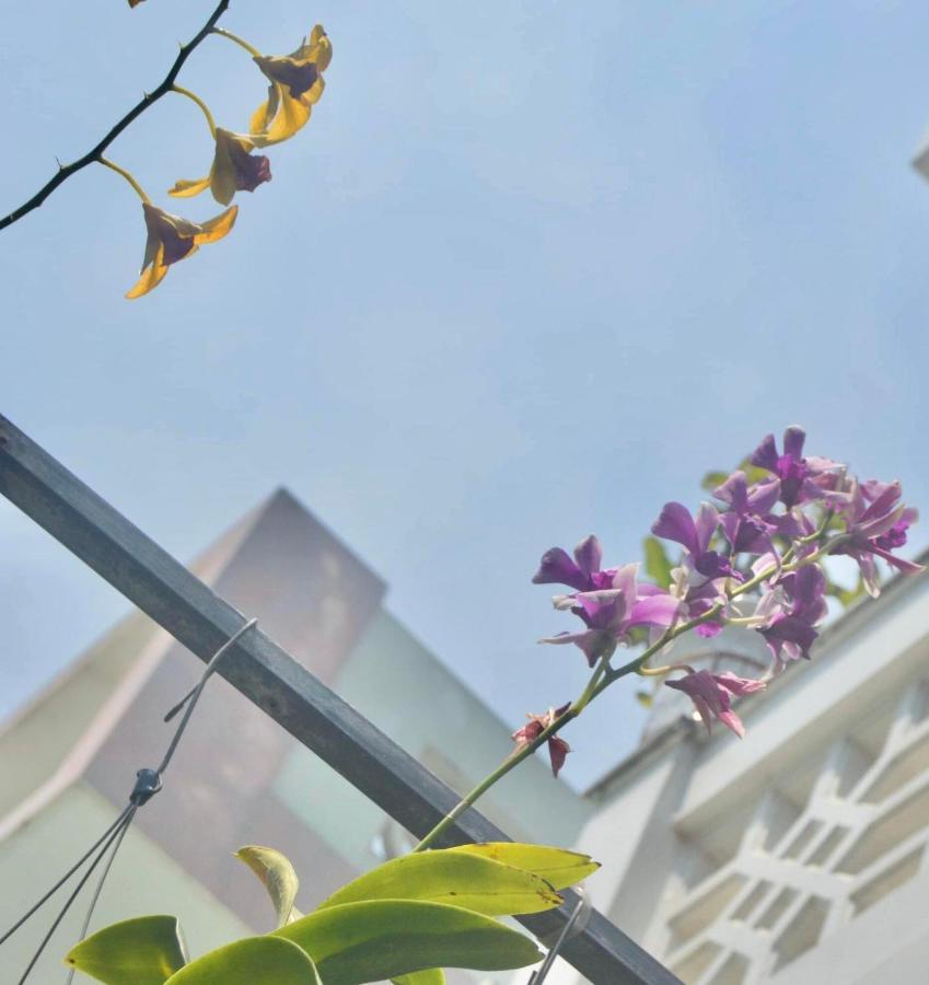 Homestay The House 36 Hoi An