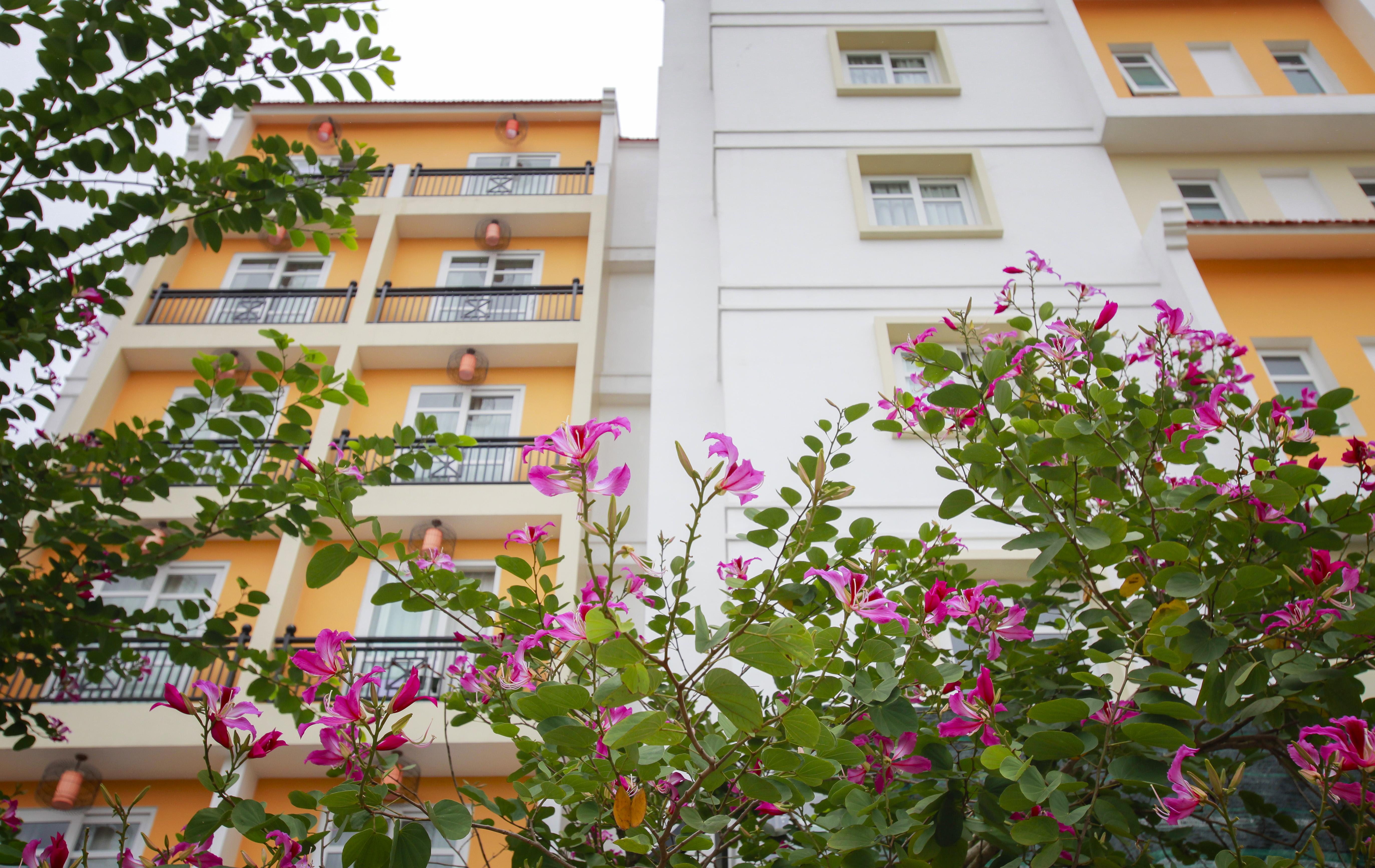 Royal Riverside & Hoi An