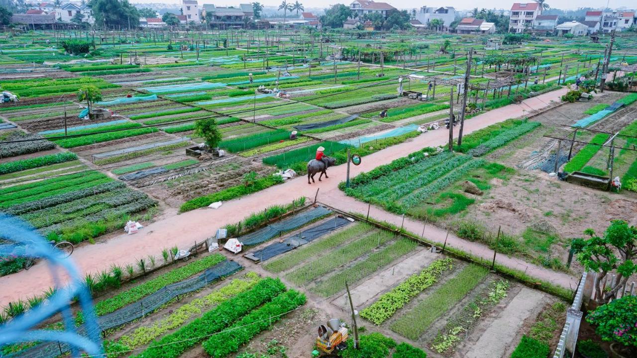 Tra Que Homestay Hoi An