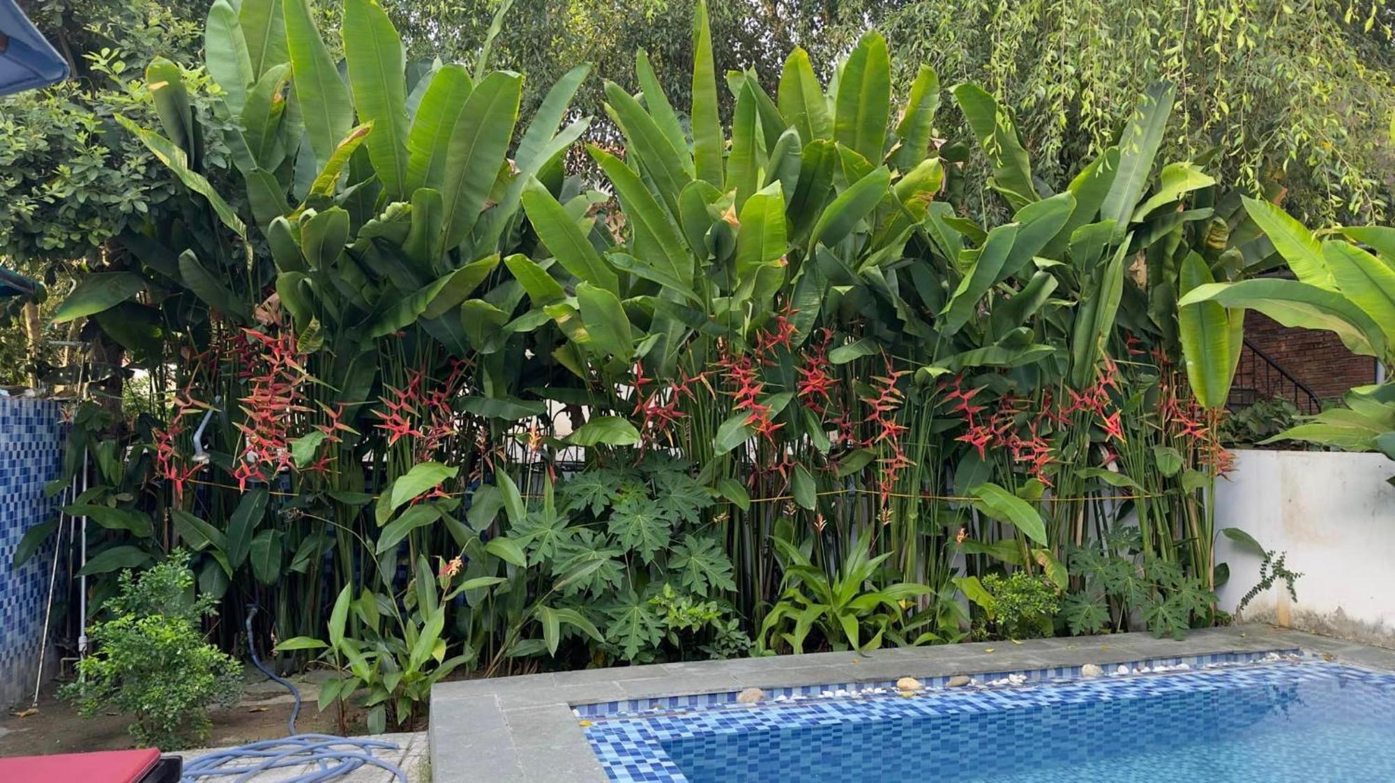An Bang Gold Coast Biệt thự Hội An