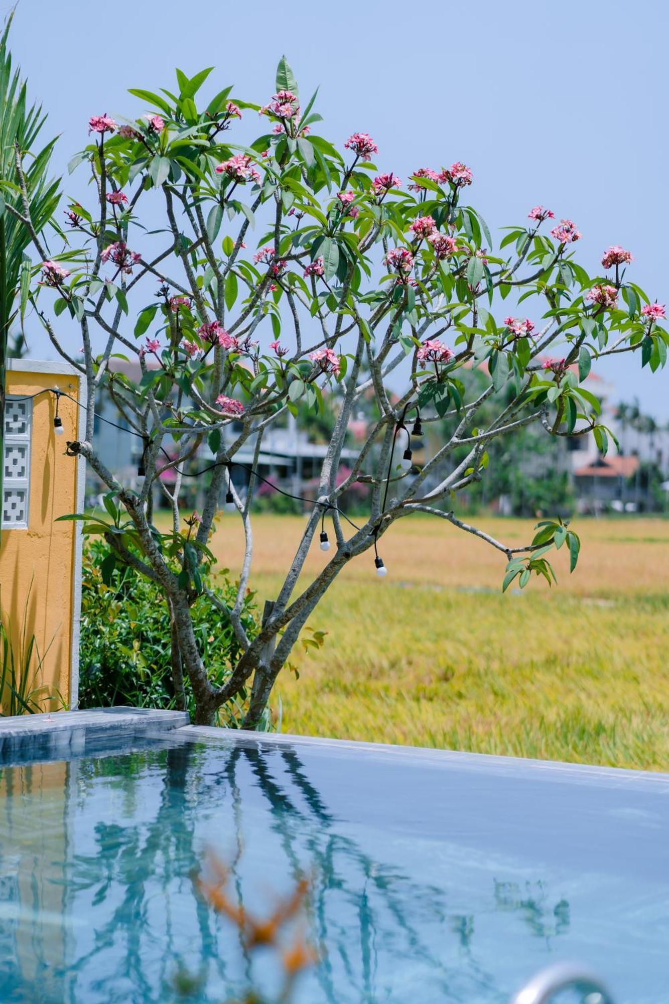 Hotel Bs Jade 4*