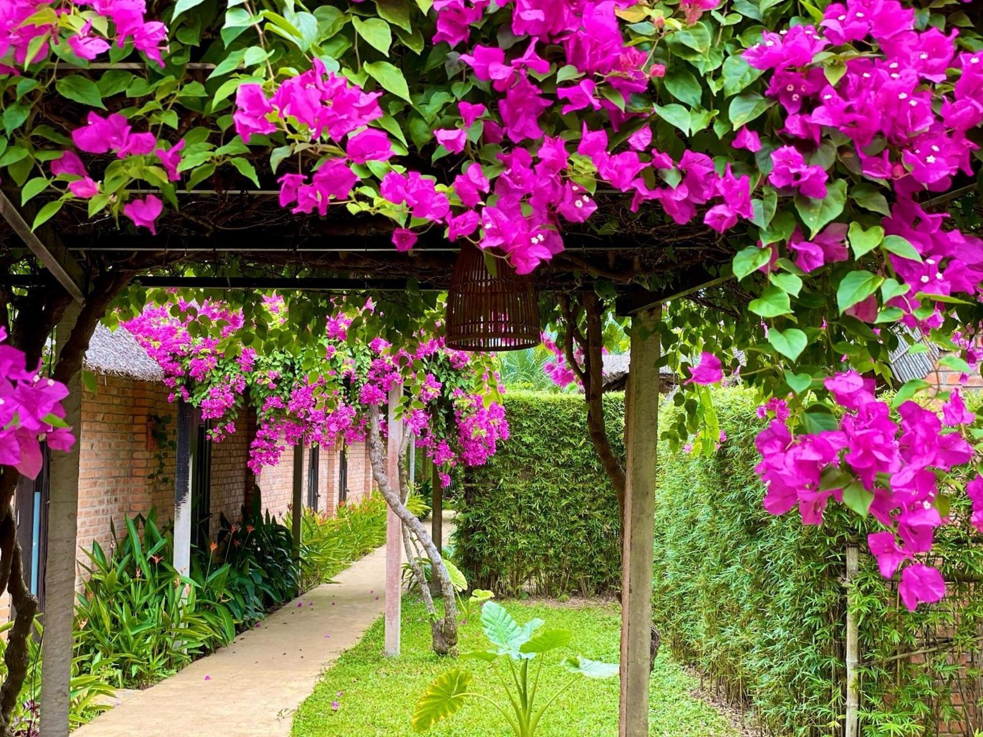Resort Enso Retreat - Rediscovery & Serenity Hoi An