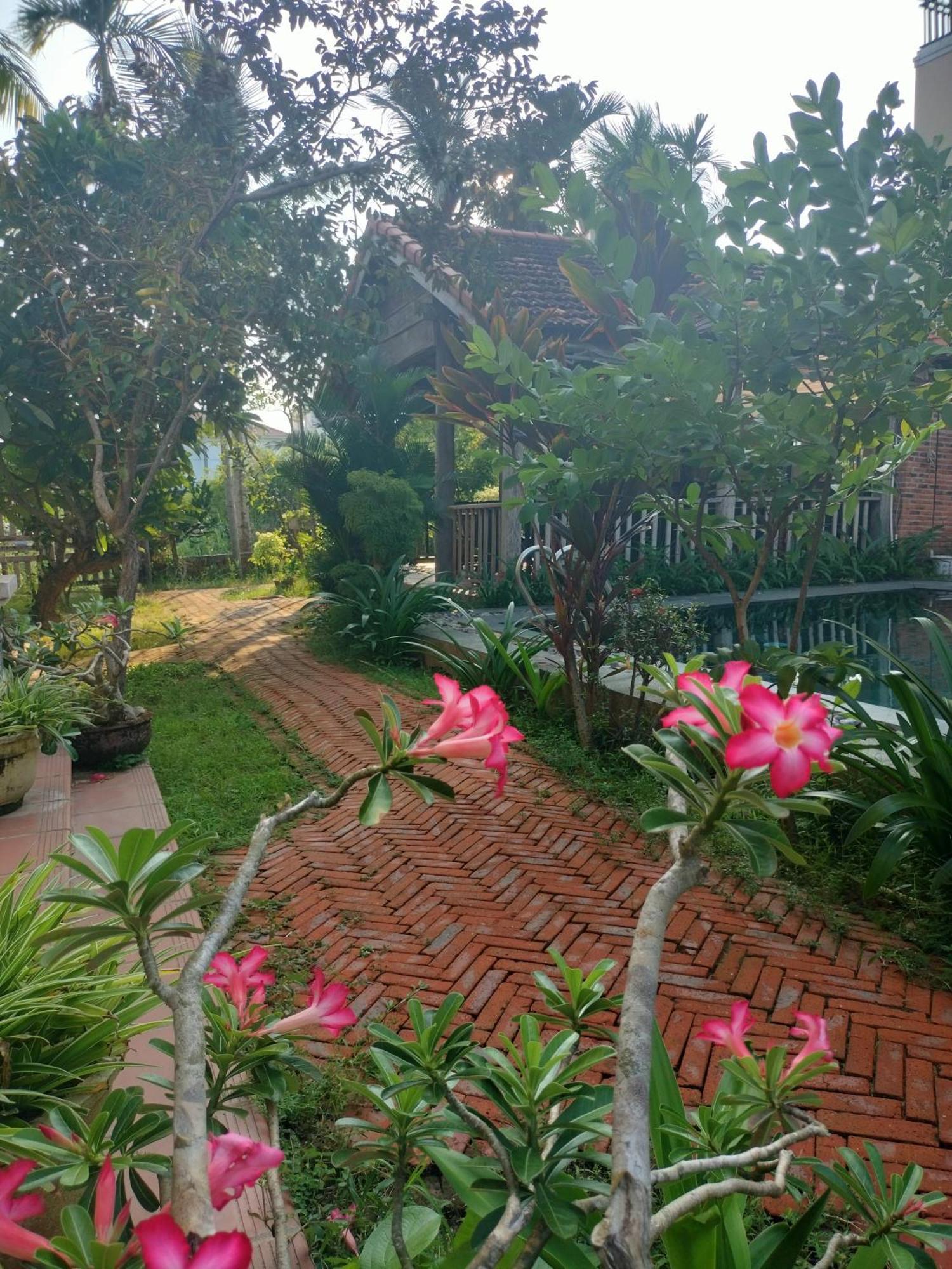 Lama Villa Hoi An Villa Hoi An
