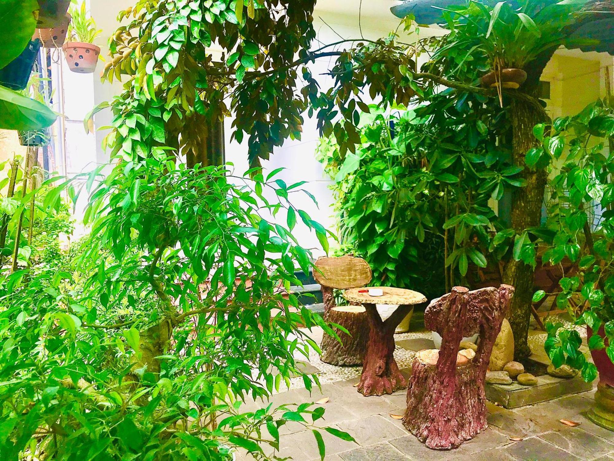 Homestay Pebble *