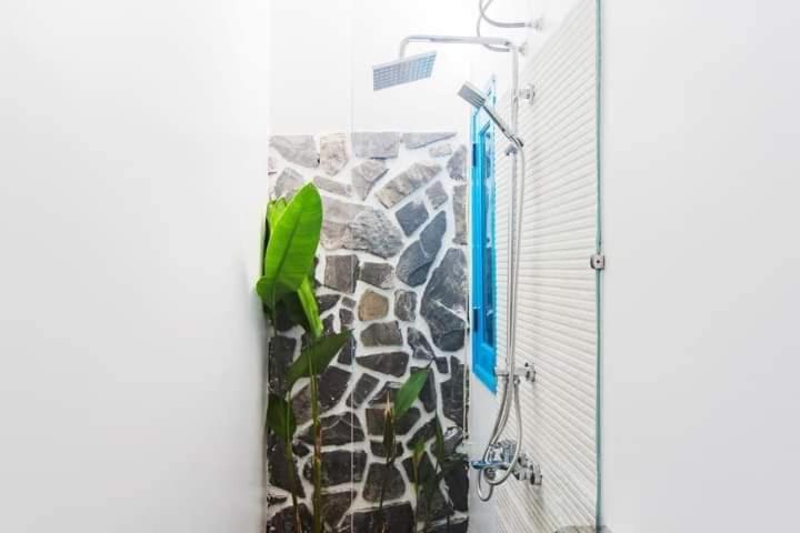 Bed & Breakfast Cashew Tree 3*