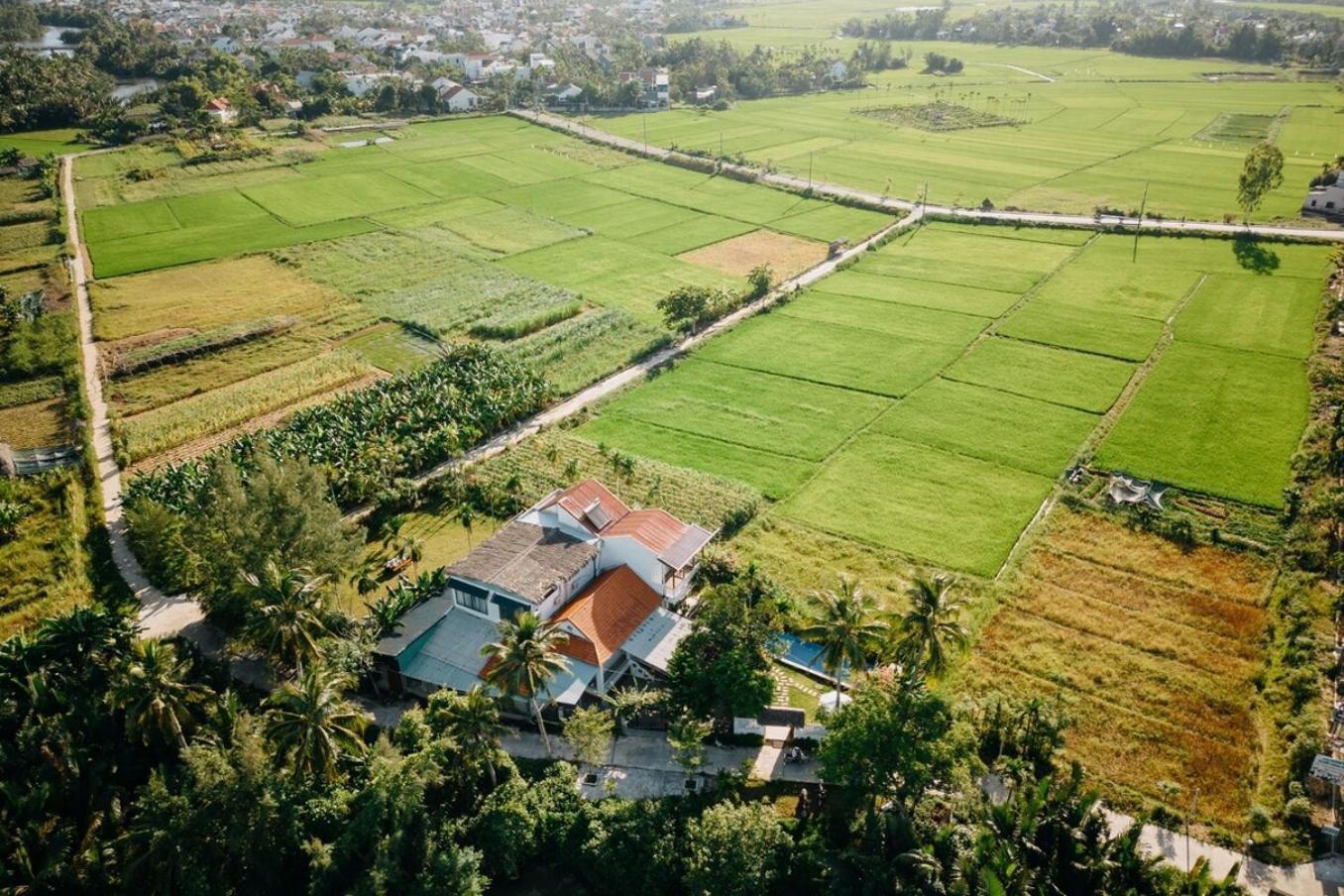 Bong - Vesta Collections Villa Hoi An