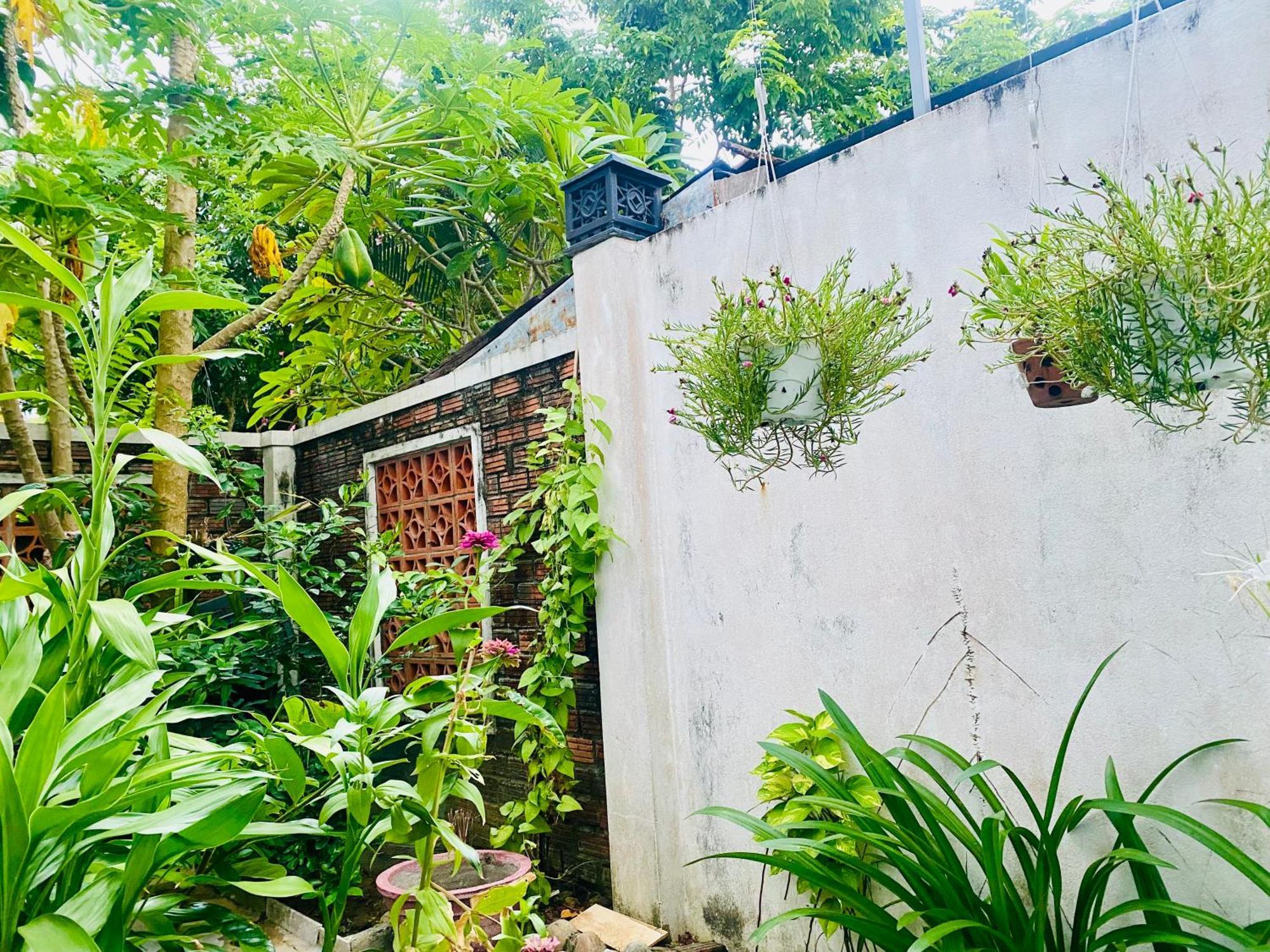 Hotel Rice River - Hoi An