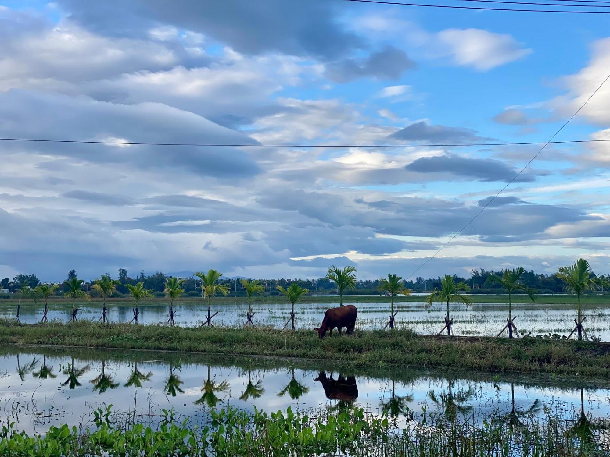 Rice River - 3* Hoi An