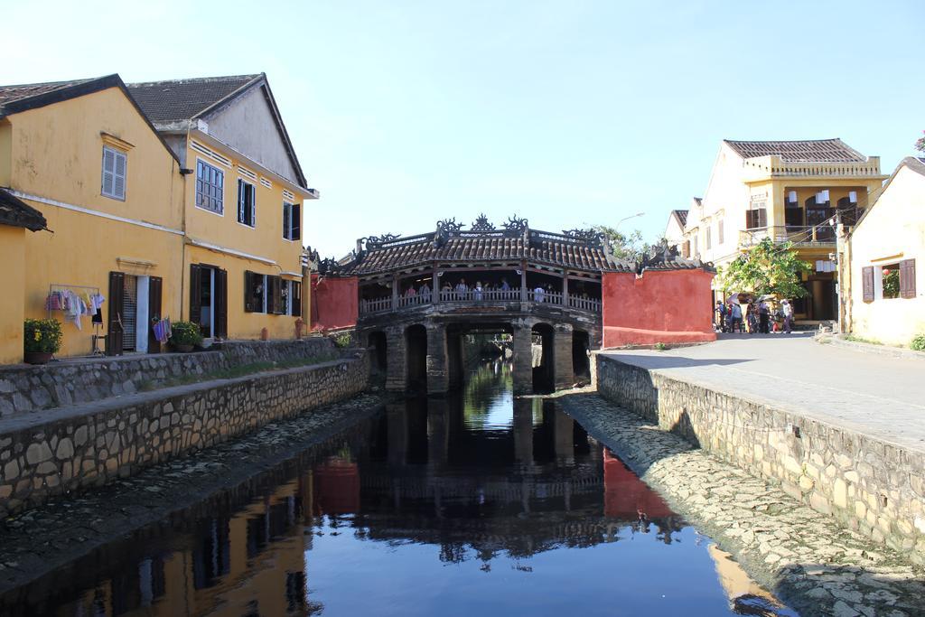 Flame Flowers Hoi An