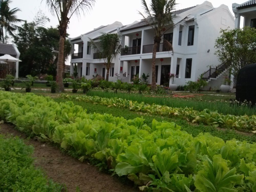 Gem Hoi An