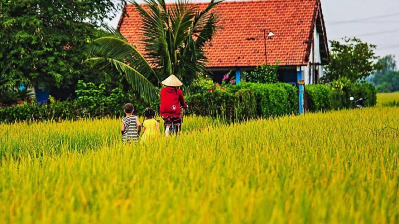 Flame Flowers Homestay Hoi An